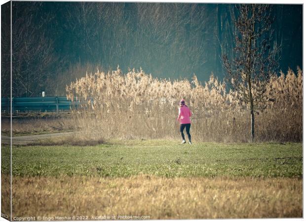 Woman in a pink jacket jogging in the park with dried reed grass background Canvas Print by Ingo Menhard