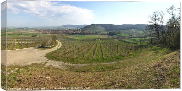 Vineyard panorama in Bavaria in early spring  Canvas Print by Ingo Menhard