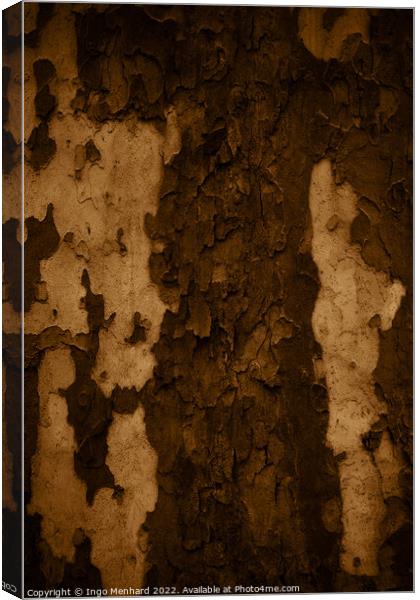 Vertical shot of an old tree trunk bark - perfect for background Canvas Print by Ingo Menhard