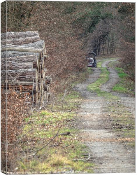 Vertical shot of a taken at a forest Canvas Print by Ingo Menhard