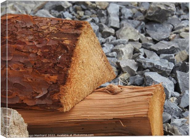 Pieces of dry wood on a rock Canvas Print by Ingo Menhard