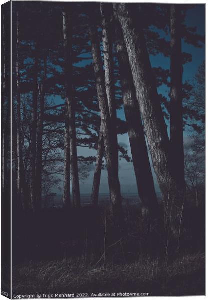 Forest at night matte look Canvas Print by Ingo Menhard