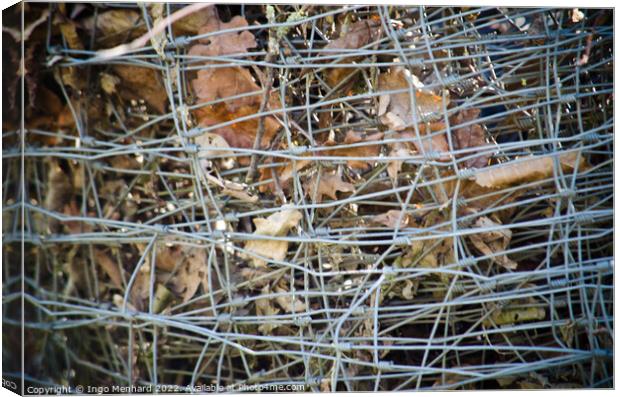 Closeup shot of an iron mesh fence with dry autumn leaves Canvas Print by Ingo Menhard