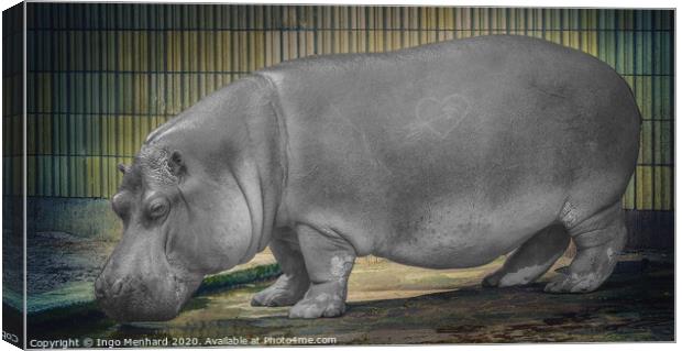 The hippo Canvas Print by Ingo Menhard