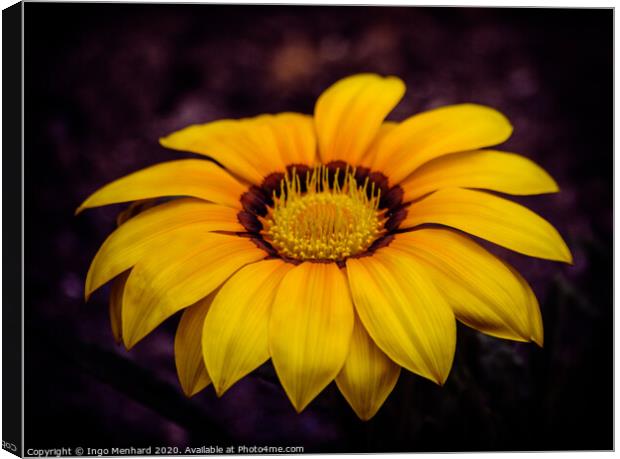 Yellow dream Canvas Print by Ingo Menhard