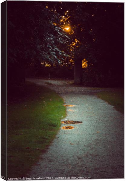 Romantic park way in the evening Canvas Print by Ingo Menhard