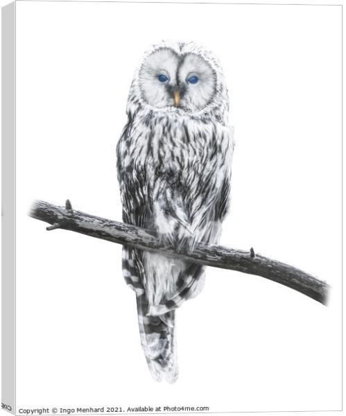 Owl of freedom Canvas Print by Ingo Menhard