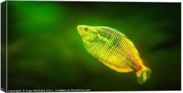 Green lure Canvas Print by Ingo Menhard