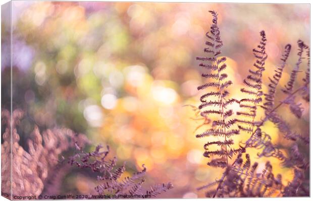 Magenta fern Canvas Print by Craig Cunliffe