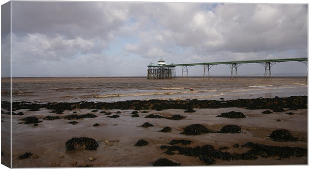 Clevedon Pier Canvas Print by Alan Jacobs