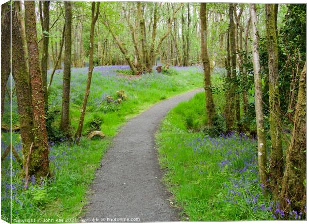 Path through RSPB Loch Lomond Canvas Print by John Rae