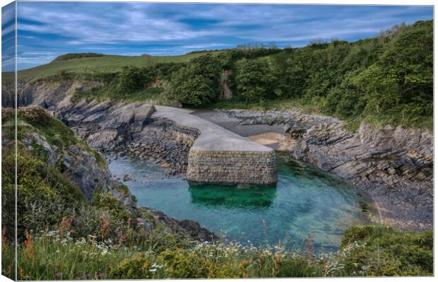 Early Morning at Stackpole Quay in Pembrokeshire Canvas Print by Tracey Turner