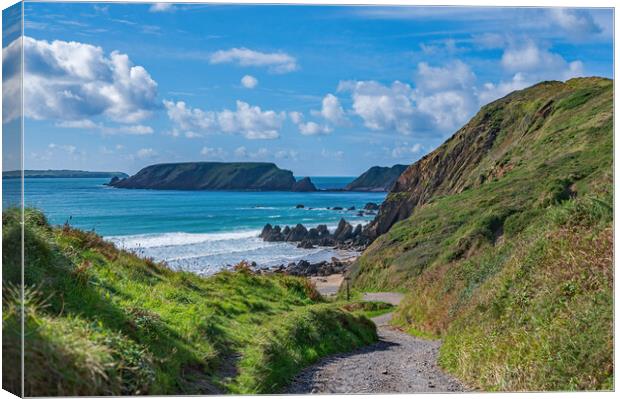 The path to Marloes Sands in Pembrokeshire  Canvas Print by Tracey Turner