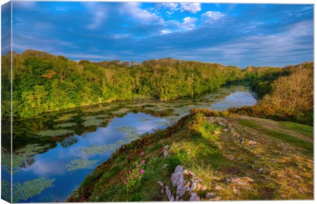 Bosherston Lily Ponds, Pembrokeshire Canvas Print by Tracey Turner