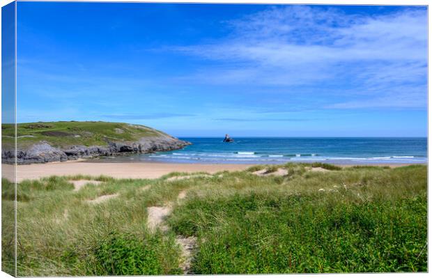 Broadhaven South Beach in Pembrokeshire Canvas Print by Tracey Turner
