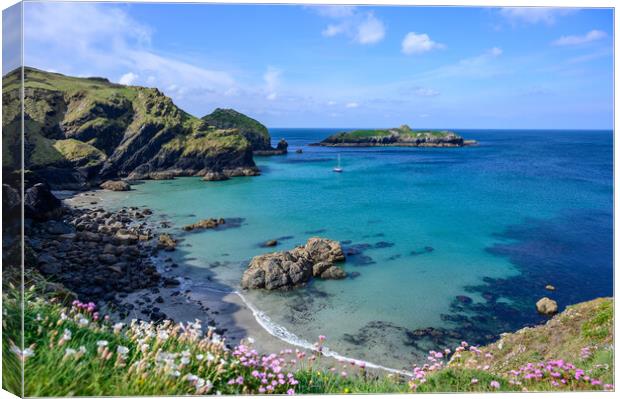 View over Mullion Cove to Mullion Island, Cornwall Canvas Print by Tracey Turner