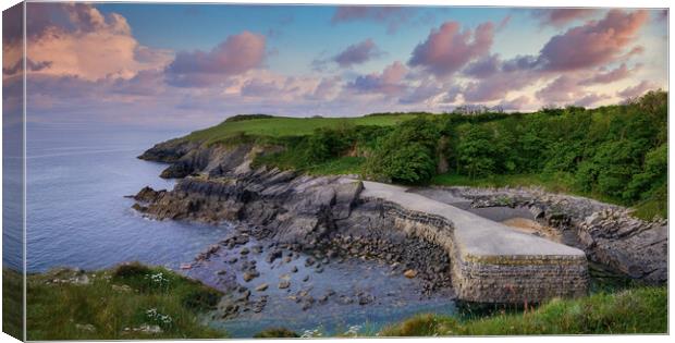 Stackpole Quay Panorama, Pembrokeshire Coast Canvas Print by Tracey Turner