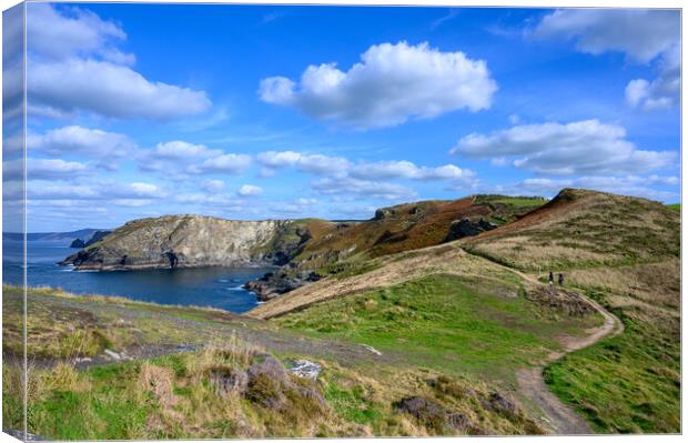 On the Tintagel South West Coast Path Canvas Print by Tracey Turner