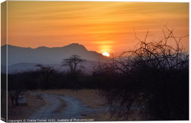African Sunrise Canvas Print by Tracey Turner