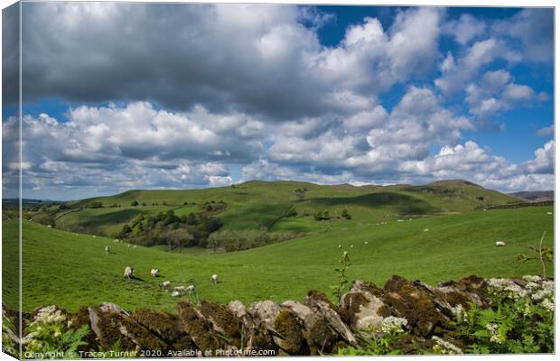 The Dales Canvas Print by Tracey Turner