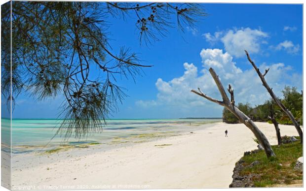 Pongwe Beach in Zanzibar Canvas Print by Tracey Turner