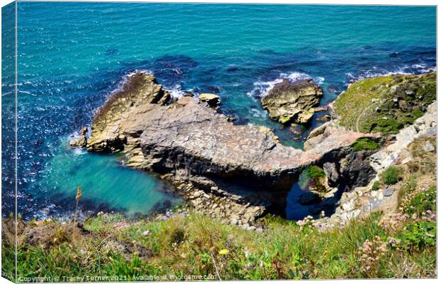Pembrokeshire Coast Path Canvas Print by Tracey Turner