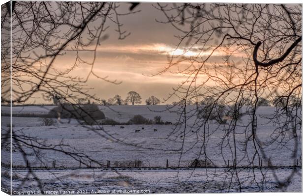 Radiant Winter Sunrise Canvas Print by Tracey Turner