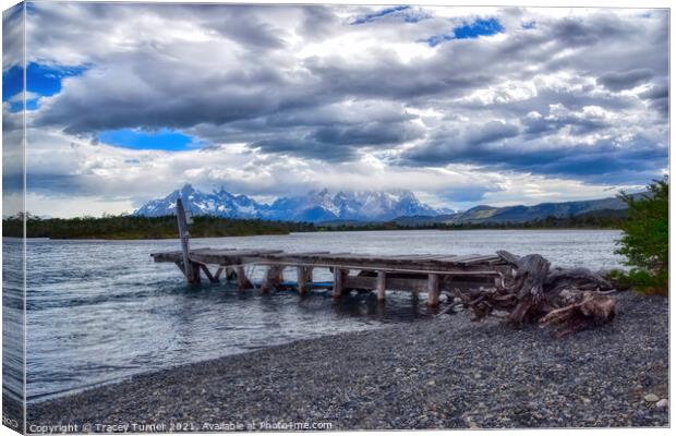 Jetty on the River Serrano, Torres del Paine, Chil Canvas Print by Tracey Turner