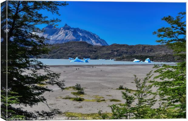 'View to Lake Grey' - Glacial lake in Patagonia, C Canvas Print by Tracey Turner