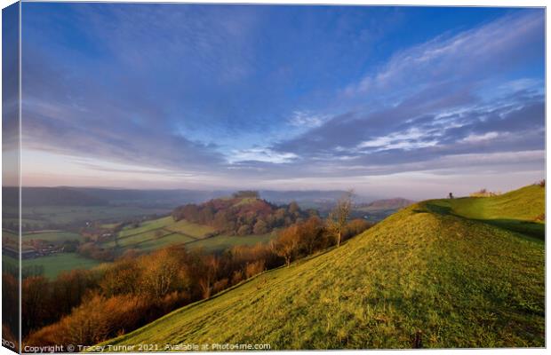 View to Downham Hill in Dursley Canvas Print by Tracey Turner