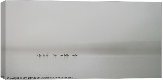 Swans in the mist Canvas Print by Jim Day