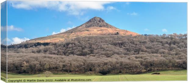 Roseberry Topping Canvas Print by Martin Davis