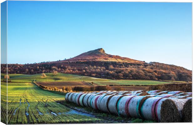 Roseberry Topping and Bales Canvas Print by Martin Davis