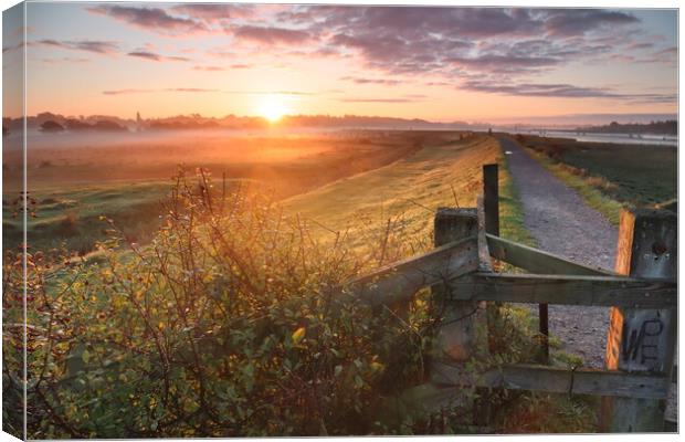 Sunrise on the Wivenhoe Trail Canvas Print by Clive Walker