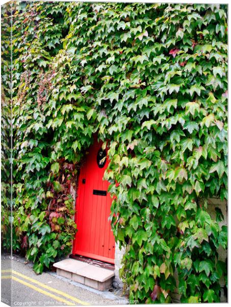 Climbing Ivy. Canvas Print by john hill