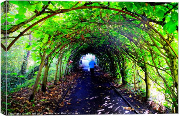 Tree Tunnel. Canvas Print by john hill