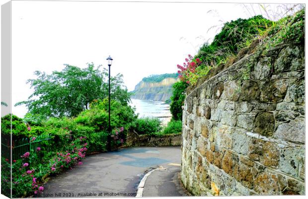 Cliff Path, Shanklin, Isle of Wight. Canvas Print by john hill