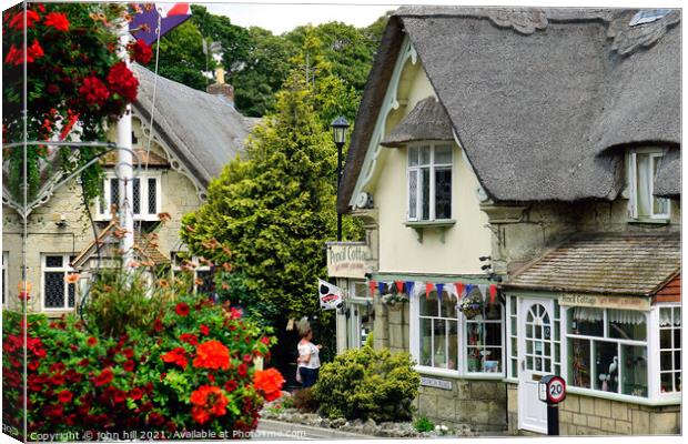 Rural life, Shanklin, Isle of Wight, UK. Canvas Print by john hill