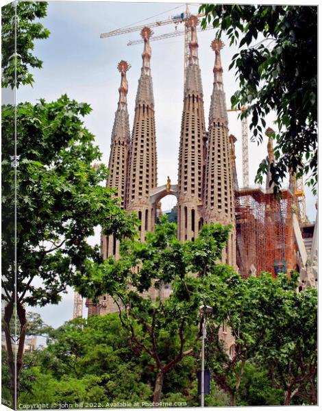 Sagrada Família, Barcelona, Spain in portait. Canvas Print by john hill