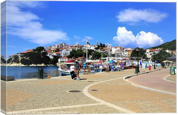Old Port, Skiathos town, Greece. Canvas Print by john hill