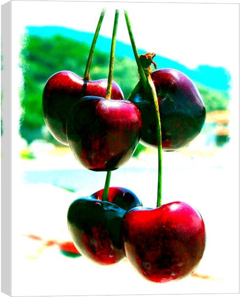 Greek Cherries Canvas Print by john hill