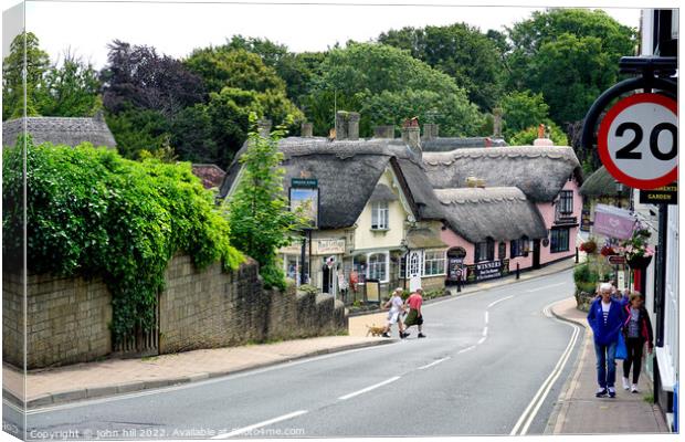 Shanklin thatched village on the Isle of Wight. Canvas Print by john hill