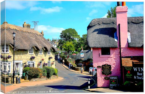 Old Shanklin on the Isle of Wight Canvas Print by john hill