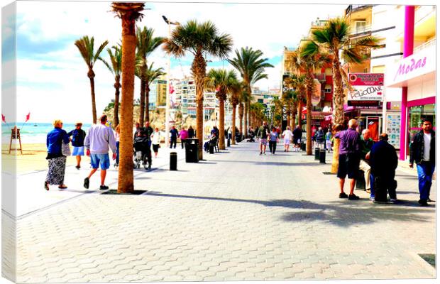 Levante promenade, Benidorm, Spain. Canvas Print by john hill