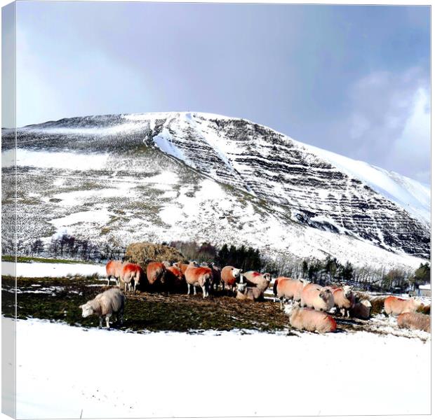 Mam Tor mountain, Derbyshire, UK. Canvas Print by john hill