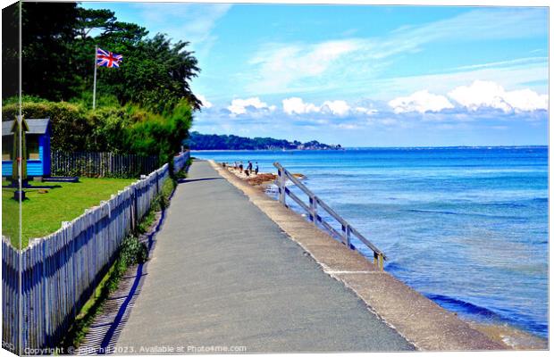 Tranquil Seaside Escape Canvas Print by john hill