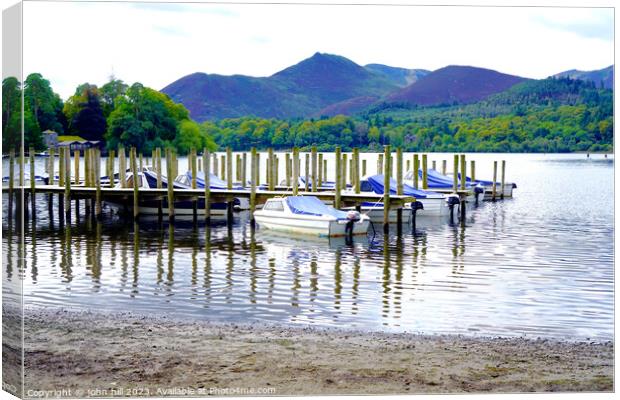Serene Pillars Embracing Dewentwater's Symphony Canvas Print by john hill