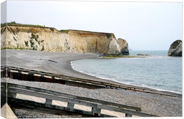 Freshwater beach and bay, Isle of Wight Canvas Print by john hill