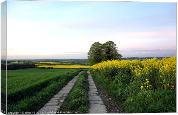 Rapeseed, Scarsdale hall estate, Derbyshire. Canvas Print by john hill