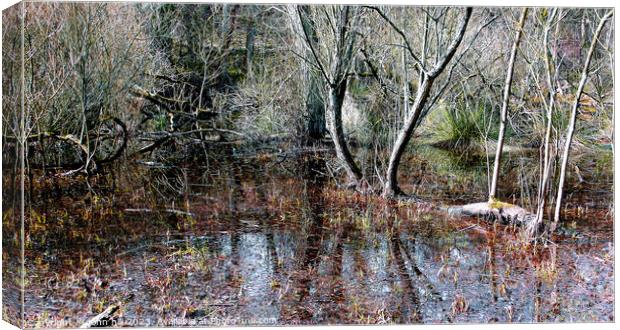 Marshland, Derbyshire, UK. Canvas Print by john hill